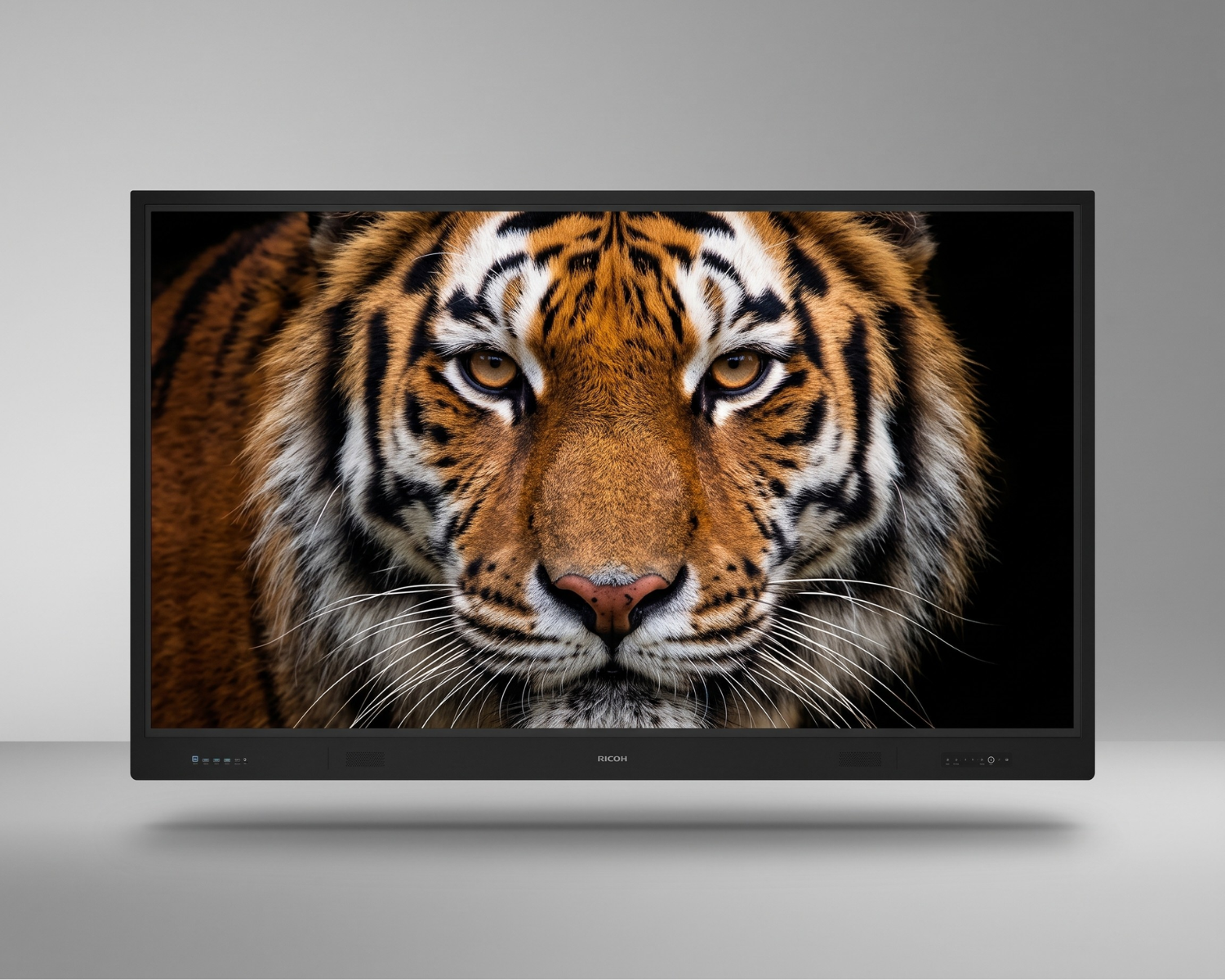 Detalle de la pantalla 4K Tii de México